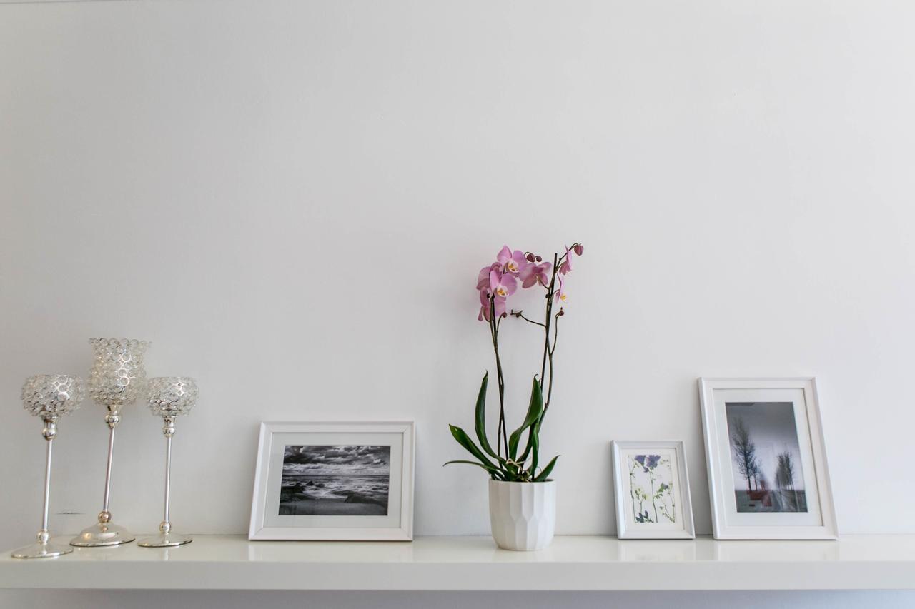 Bed and Breakfast Hayes Bank Ashford  Esterno foto